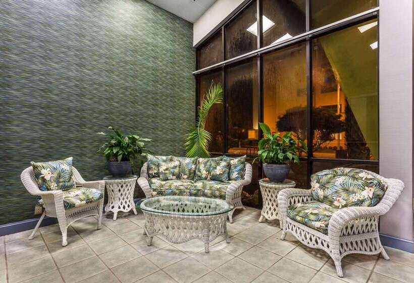 酒店 Days Inn By Wyndham Virginia Beach At The Beach