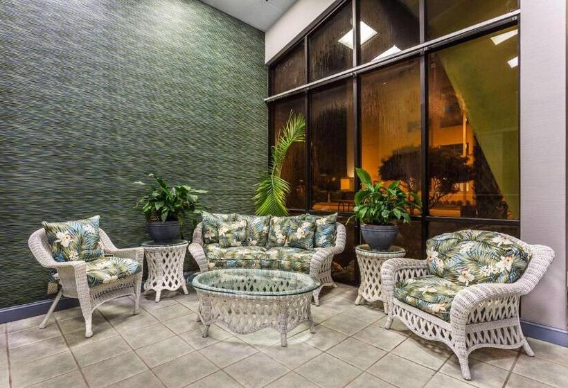 酒店 Days Inn By Wyndham Virginia Beach At The Beach