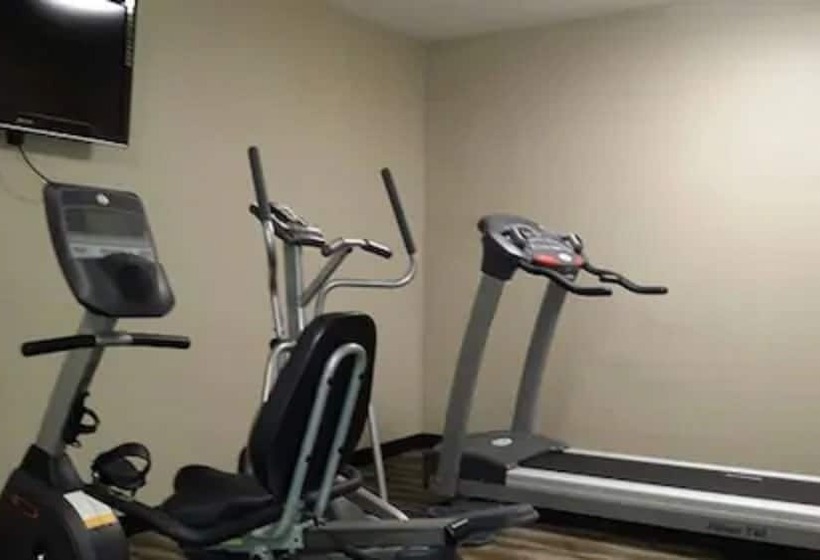 酒店 Wingfield Inn