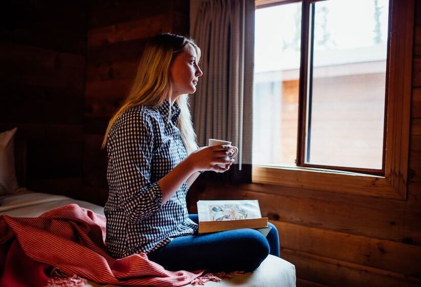 فندق Denali Cabins