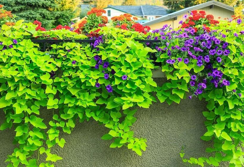 Отель Der Ritterhof Inn