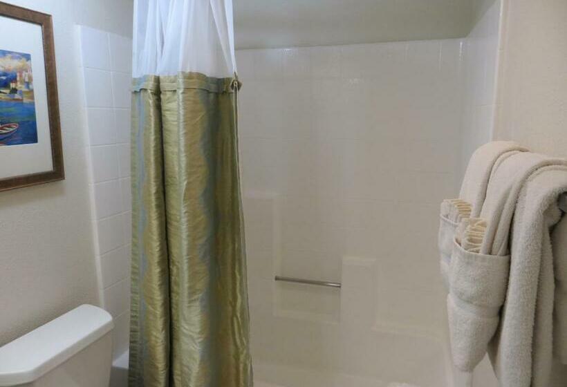 ホテル Desert Breezes Resort