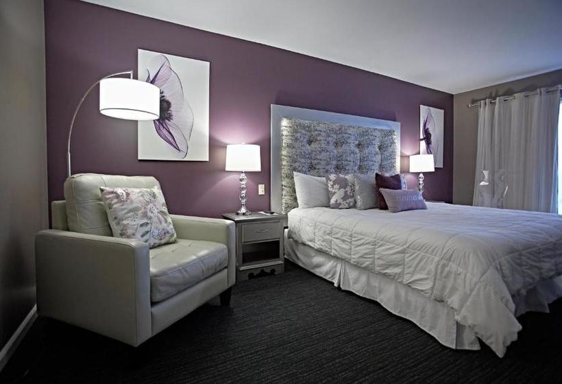 هتل Don Hall's Guesthouse