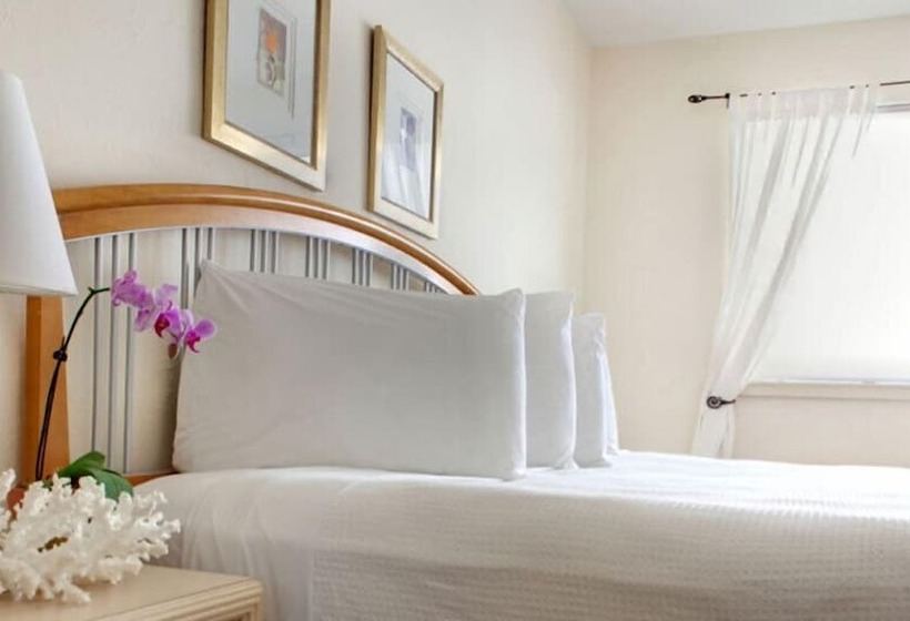 Dorchester Hotel & Suites