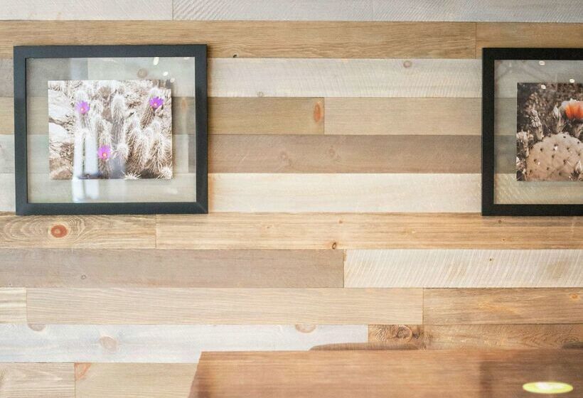 Hotel Doubletree By Hilton Austin University Area