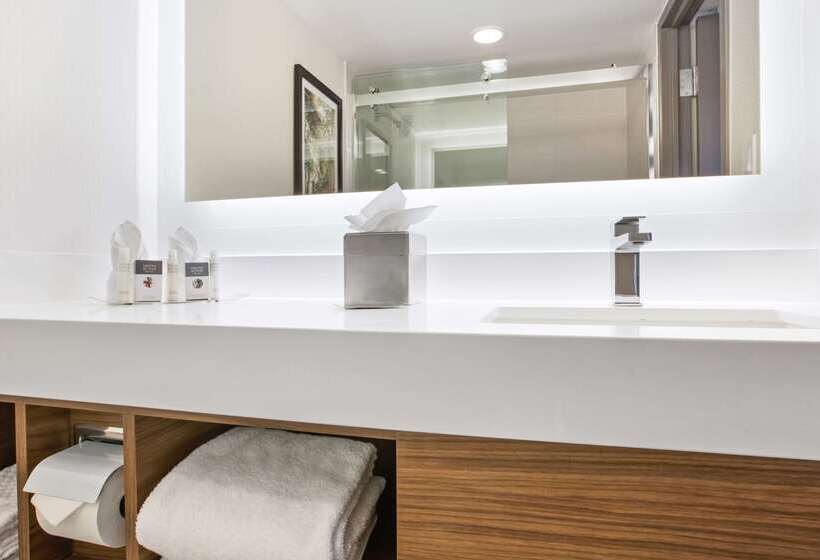 هتل Doubletree By Hilton New Orleans