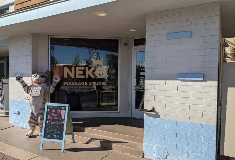 فندق Downtowner Boutique