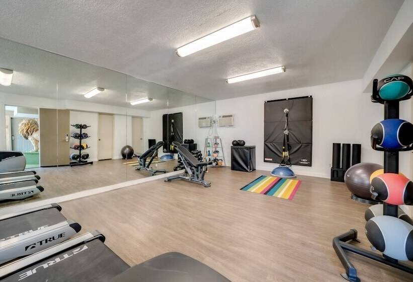 فندق Downtowner Boutique