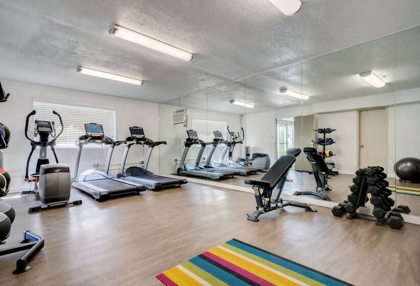 فندق Downtowner Boutique