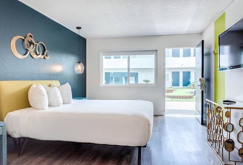 فندق Downtowner Boutique