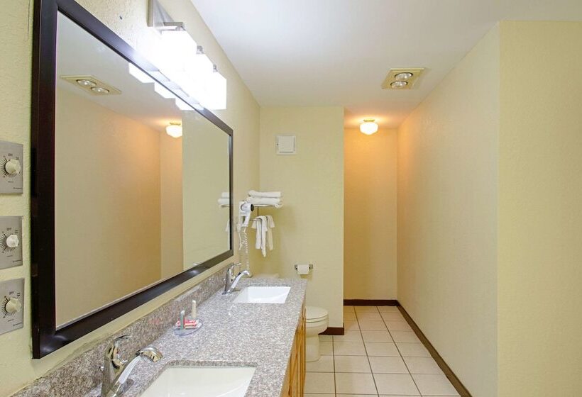 호텔 Econo Lodge Inn & Suites