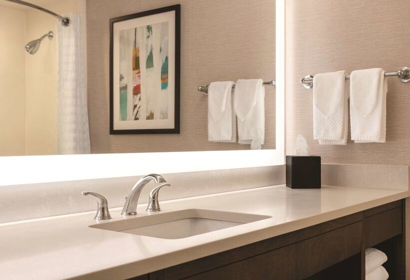 酒店 Embassy Suites By Hilton Baltimore At Bwi Airport