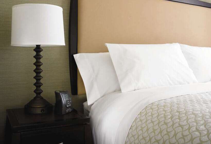 酒店 Embassy Suites By Hilton Baltimore At Bwi Airport