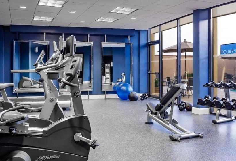 בית מלון כפרי Four Points By Sheraton Houston Greenway Plaza