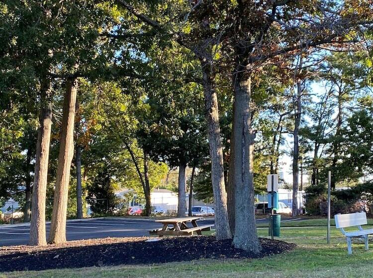 בית מלון כפרי Hampton Inn Egg Harbor Township Atlantic City