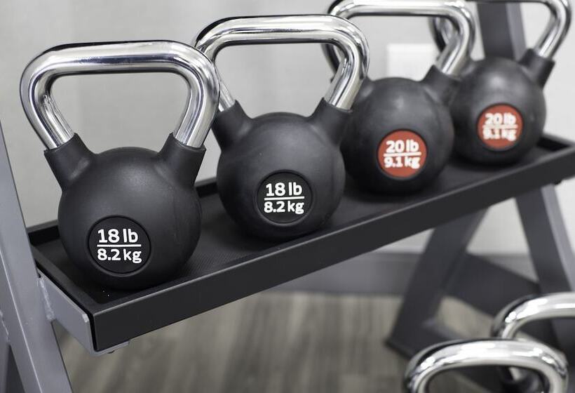 בית מלון כפרי Hampton Inn Egg Harbor Township Atlantic City