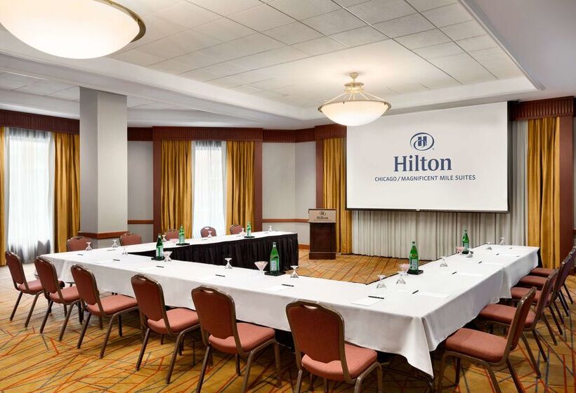 هتل Hilton Chicago/magnificent Mile Suites