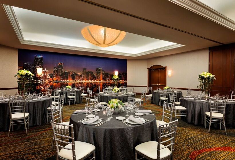 هتل Hilton Chicago/magnificent Mile Suites