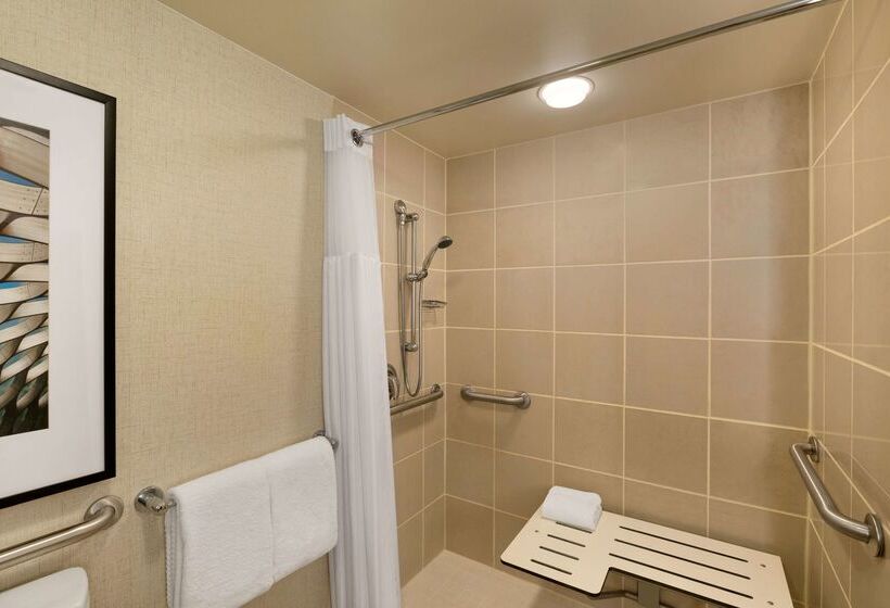 هتل Hilton Chicago/magnificent Mile Suites