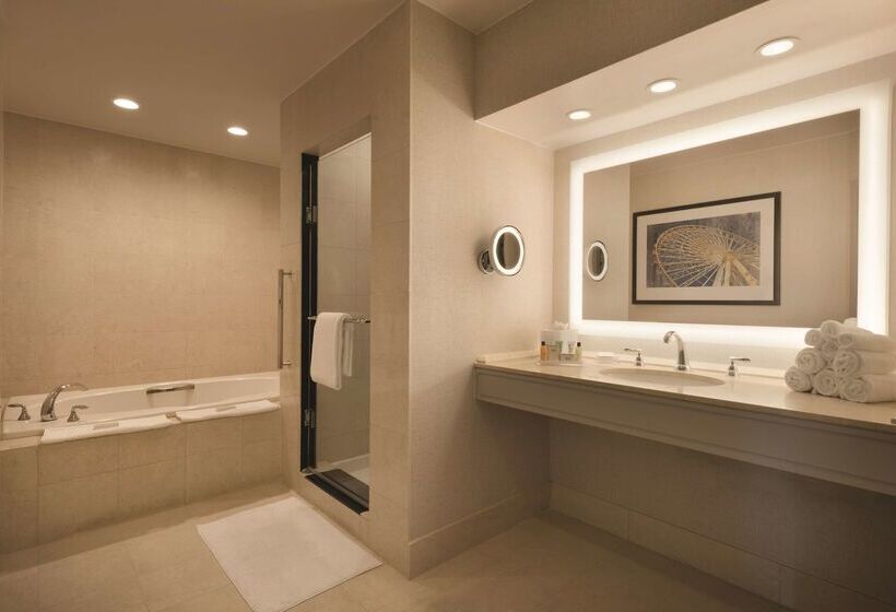 هتل Hilton Chicago/magnificent Mile Suites