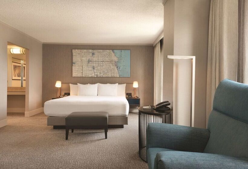 هتل Hilton Chicago/magnificent Mile Suites