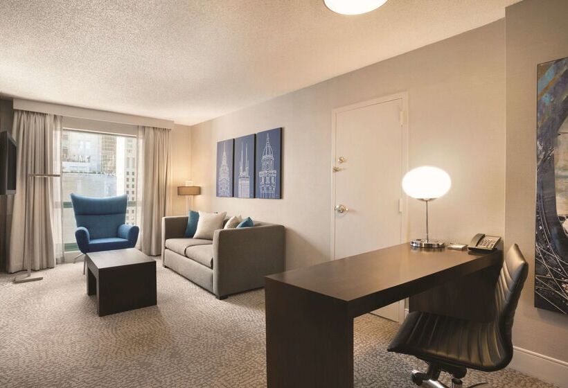 هتل Hilton Chicago/magnificent Mile Suites