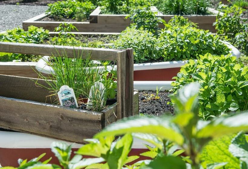 فندق Jonathan Pitney House