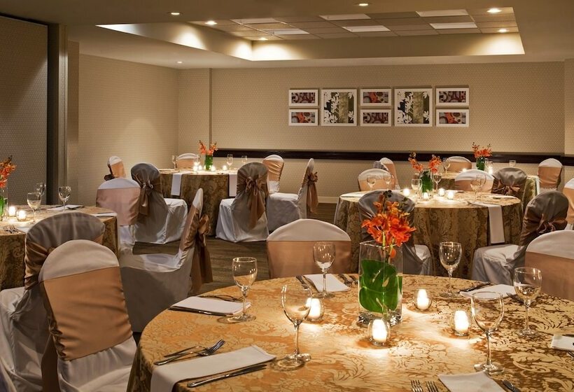 酒店 Sheraton Suites Orlando Airport