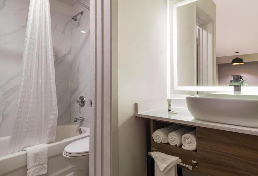 فندق Signature Inn Houston Galleria