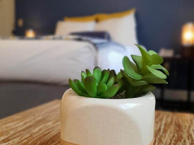 فندق على الطريق Pier Blue Inn Old Saybrook  Essex