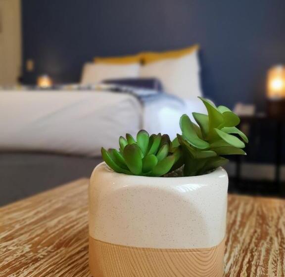 מוטל Pier Blue Inn Old Saybrook  Essex