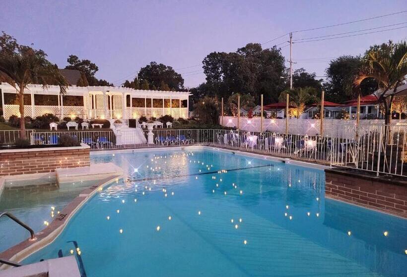 汽车旅馆 The Shore Club