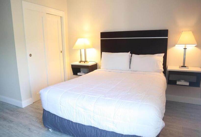 汽车旅馆 The Shore Club