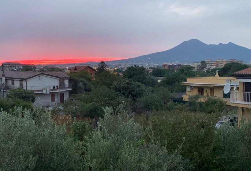 בית מלון כפרי Due Pini Conte