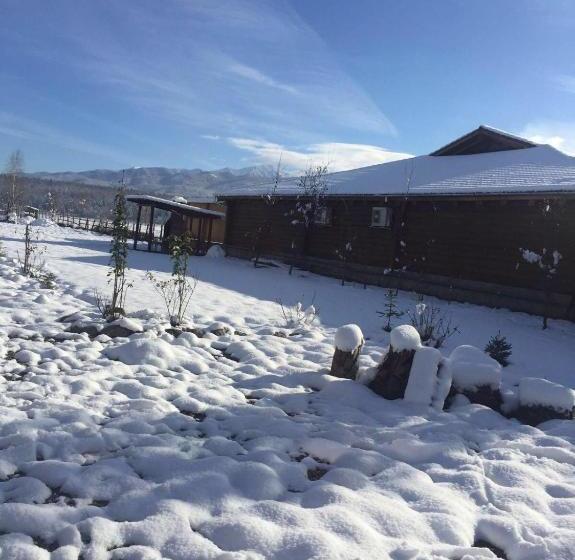 펜션 Casa Albert Valea Avrigului