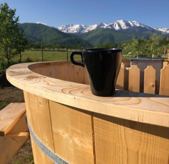 펜션 Casa Albert Valea Avrigului