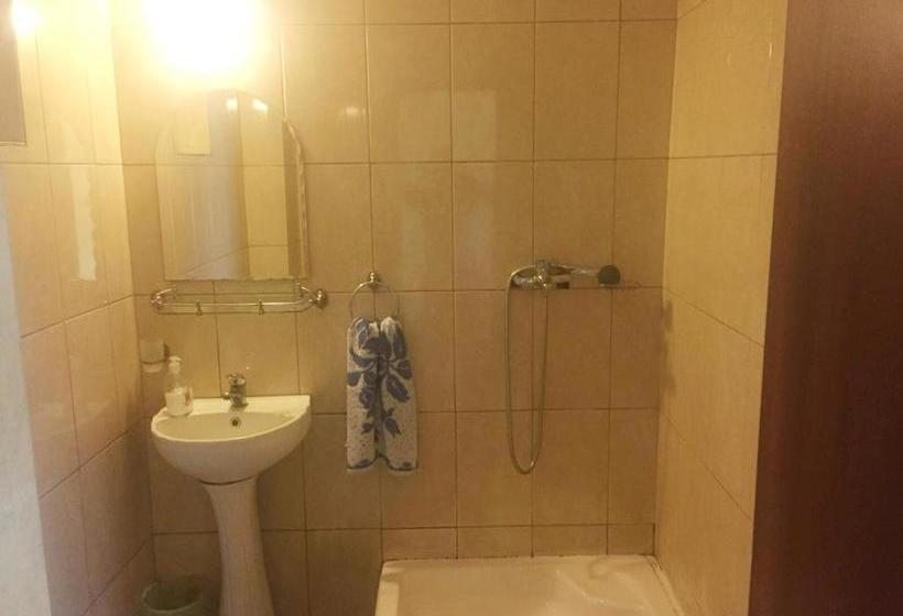 펜션 Casa Albert Valea Avrigului