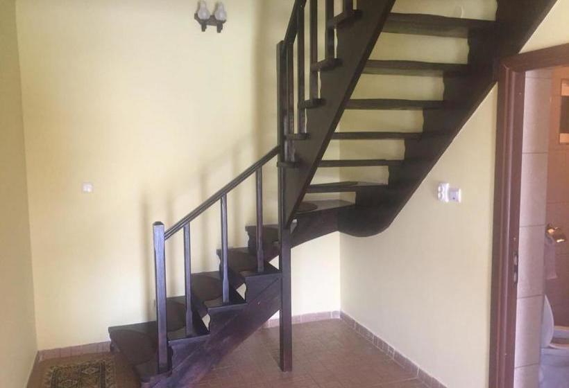 펜션 Casa Albert Valea Avrigului