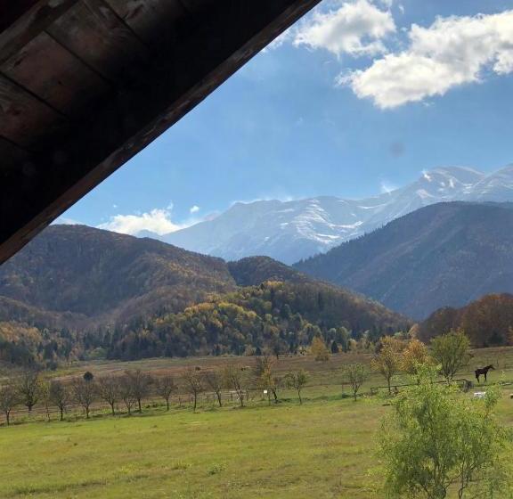 펜션 Casa Albert Valea Avrigului