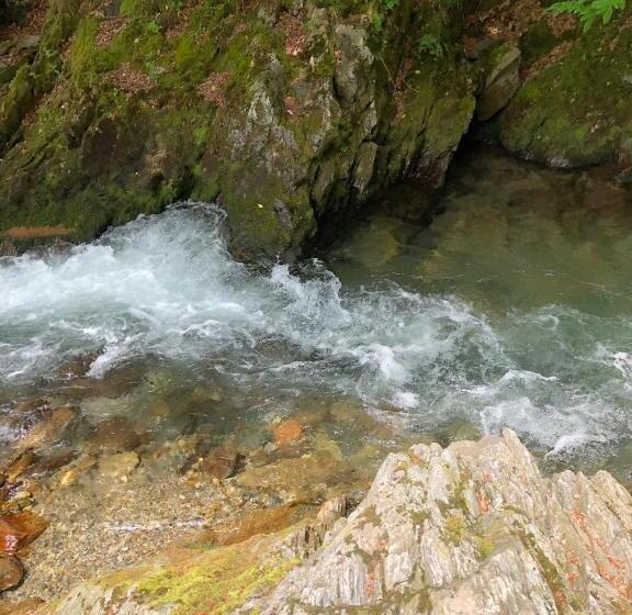 펜션 Casa Albert Valea Avrigului