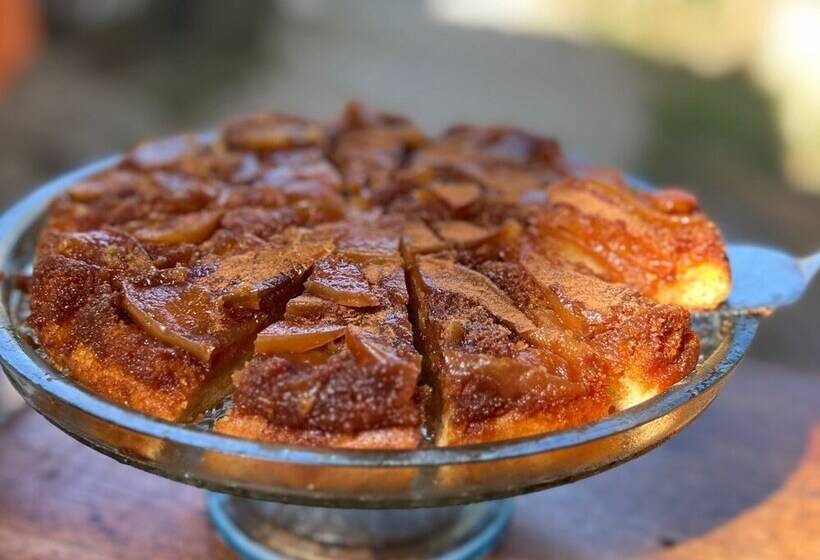 膳宿费 Pousada Tropicália