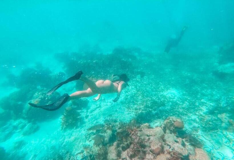 호텔 Drift Inn San Pedro