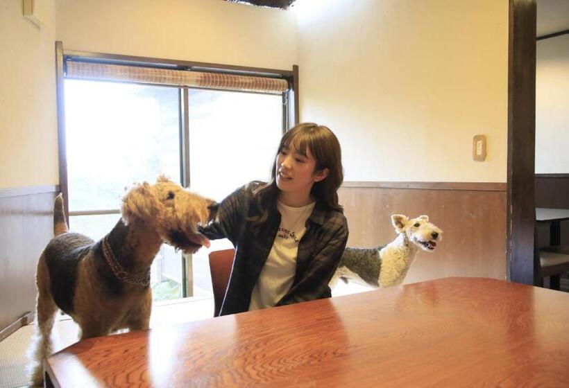 בית מלון כפרי Welcome Inn Sunnysteps