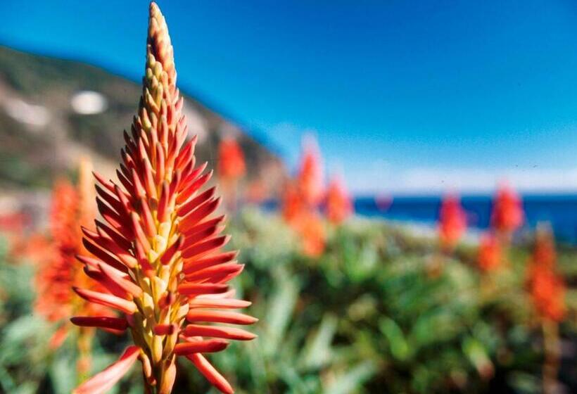 בית מלון כפרי Welcome Inn Sunnysteps