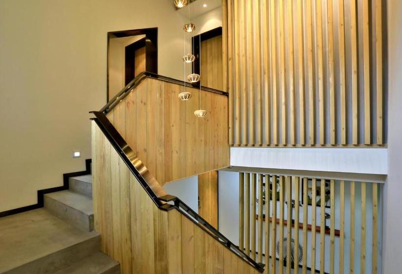 بنسيون Hangzhou Persimmon Tree Guesthouse