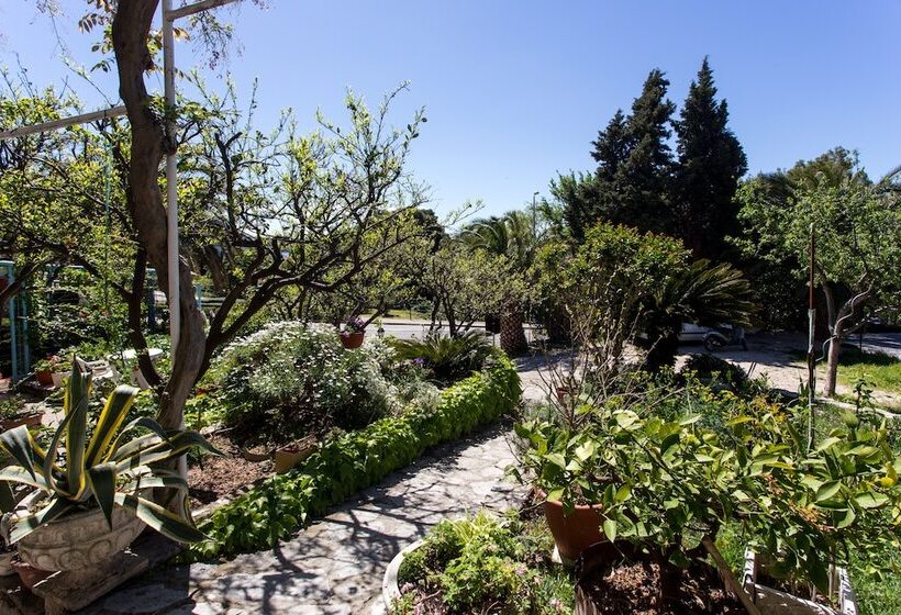 Apartments Djurkovic