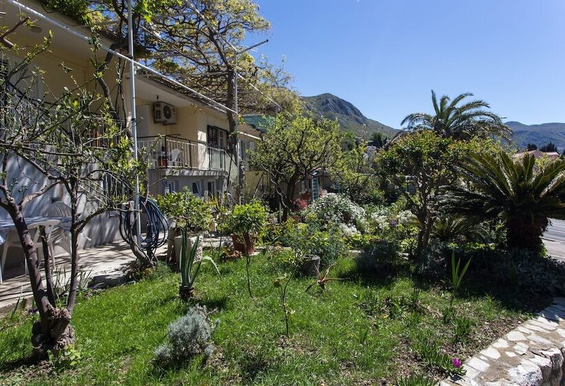 Apartments Djurkovic