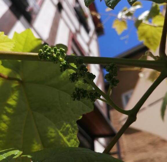 Gästehaus Pension Romantika