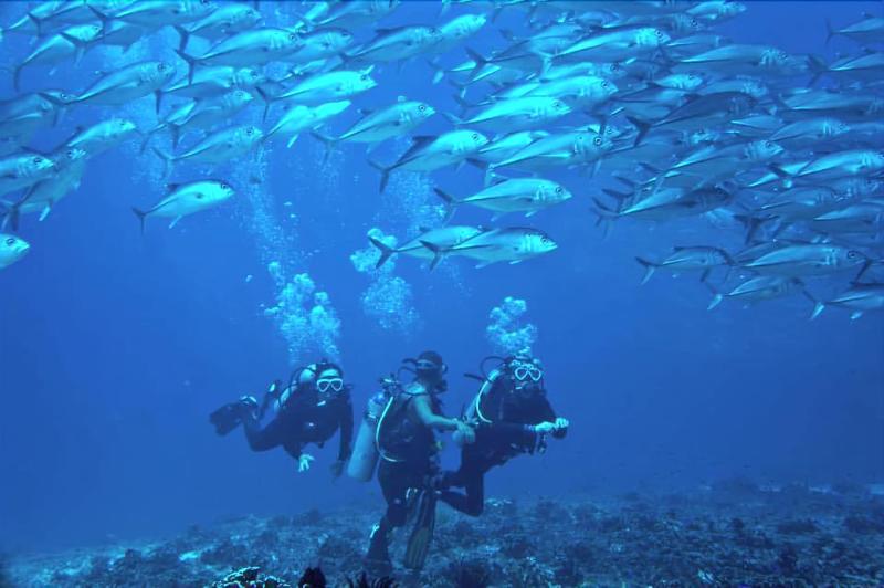 Отель Island Front Bangcogon Resort And Restaurant