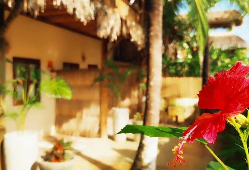 酒店 Pousada Tropical Brasil